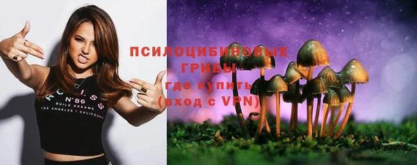 молекула духа Армянск