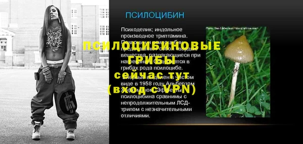 стафф Аркадак