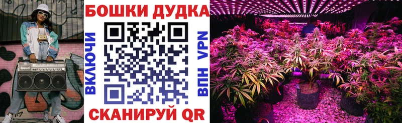 Конопля индика  Удомля 
